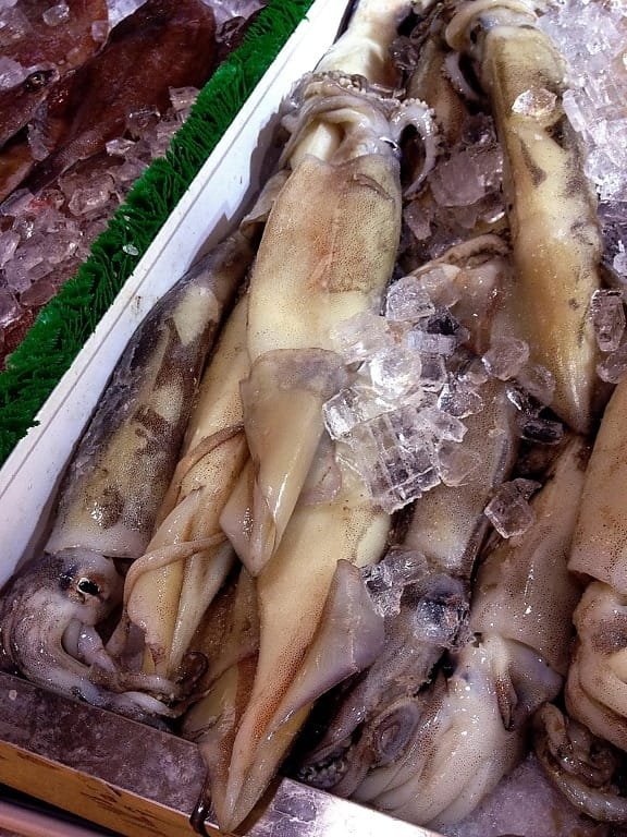 Fish wholesale market